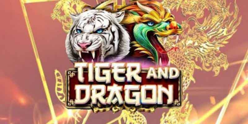 Dragon tiger – Trò chơi rút bài đơn giản nhưng thích hợp cho người mới