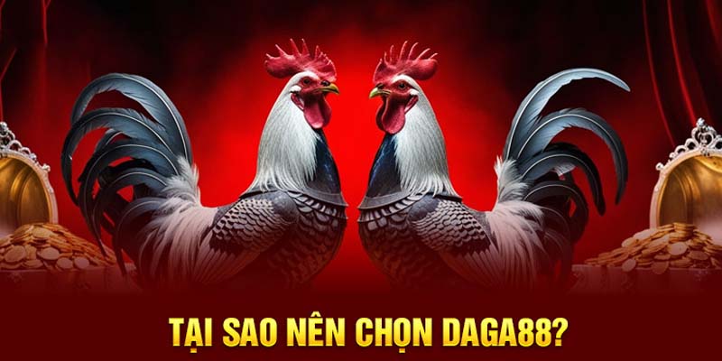 Tại sao nên chọn Đăng ký Daga88 và khám phá ngay thế giới giải trí đỉnh cao